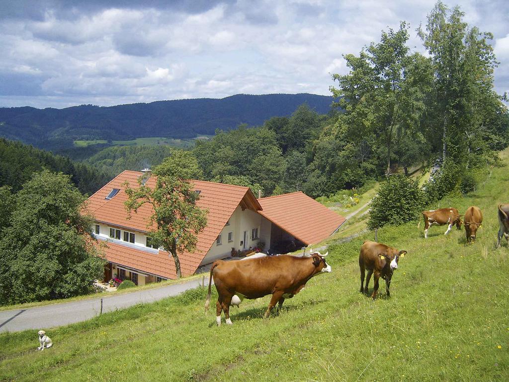 Ferienwohnung Langenberghof Oberharmersbach Exterior foto