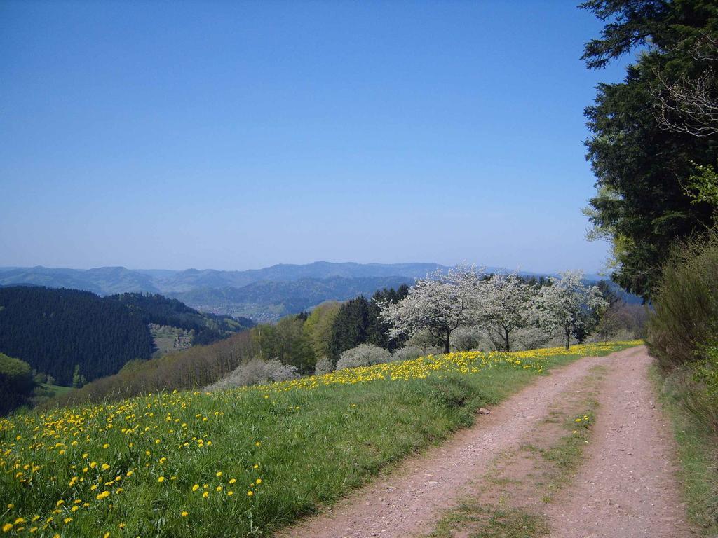 Ferienwohnung Langenberghof Oberharmersbach Exterior foto