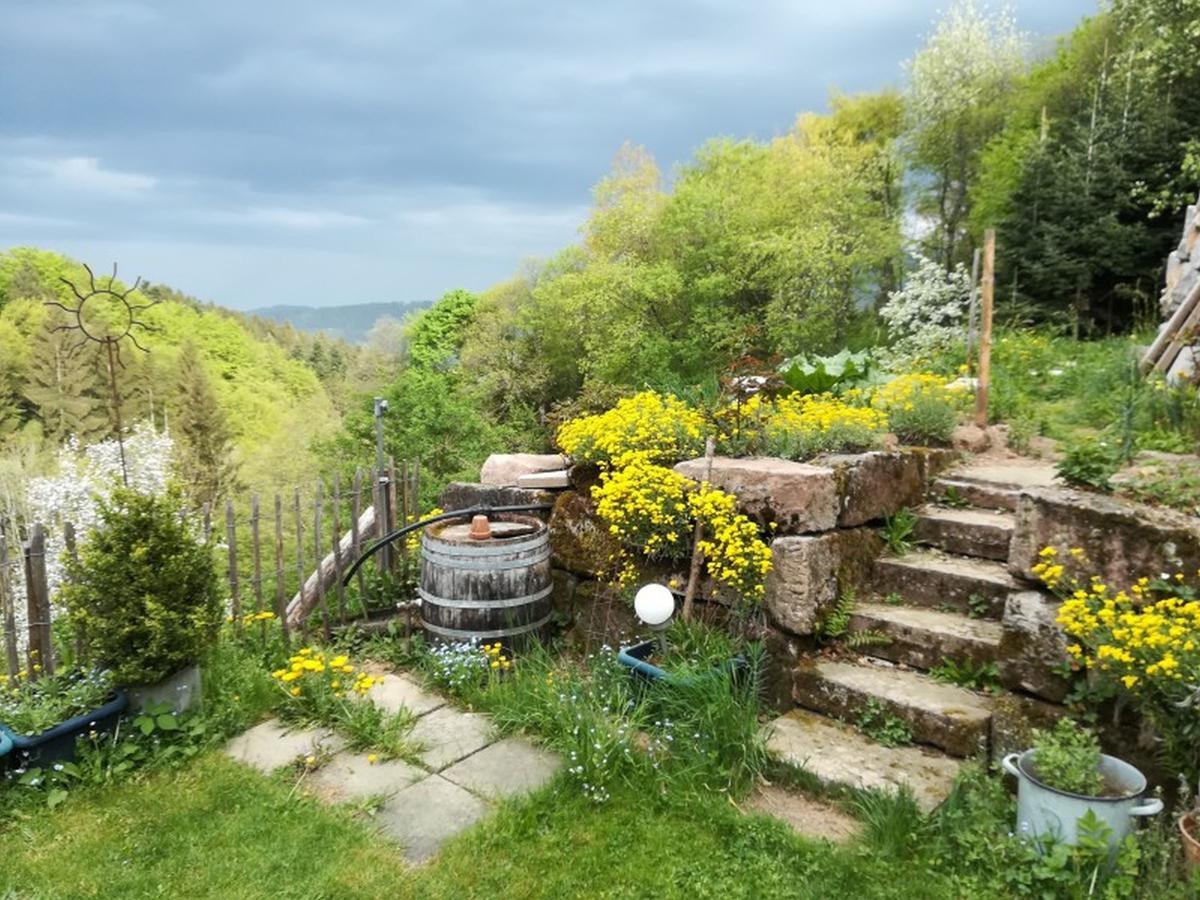 Ferienwohnung Langenberghof Oberharmersbach Exterior foto