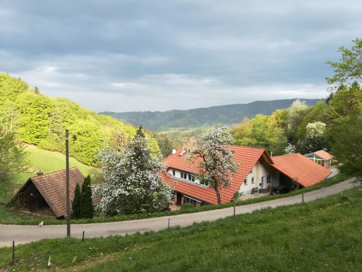 Ferienwohnung Langenberghof Oberharmersbach Exterior foto