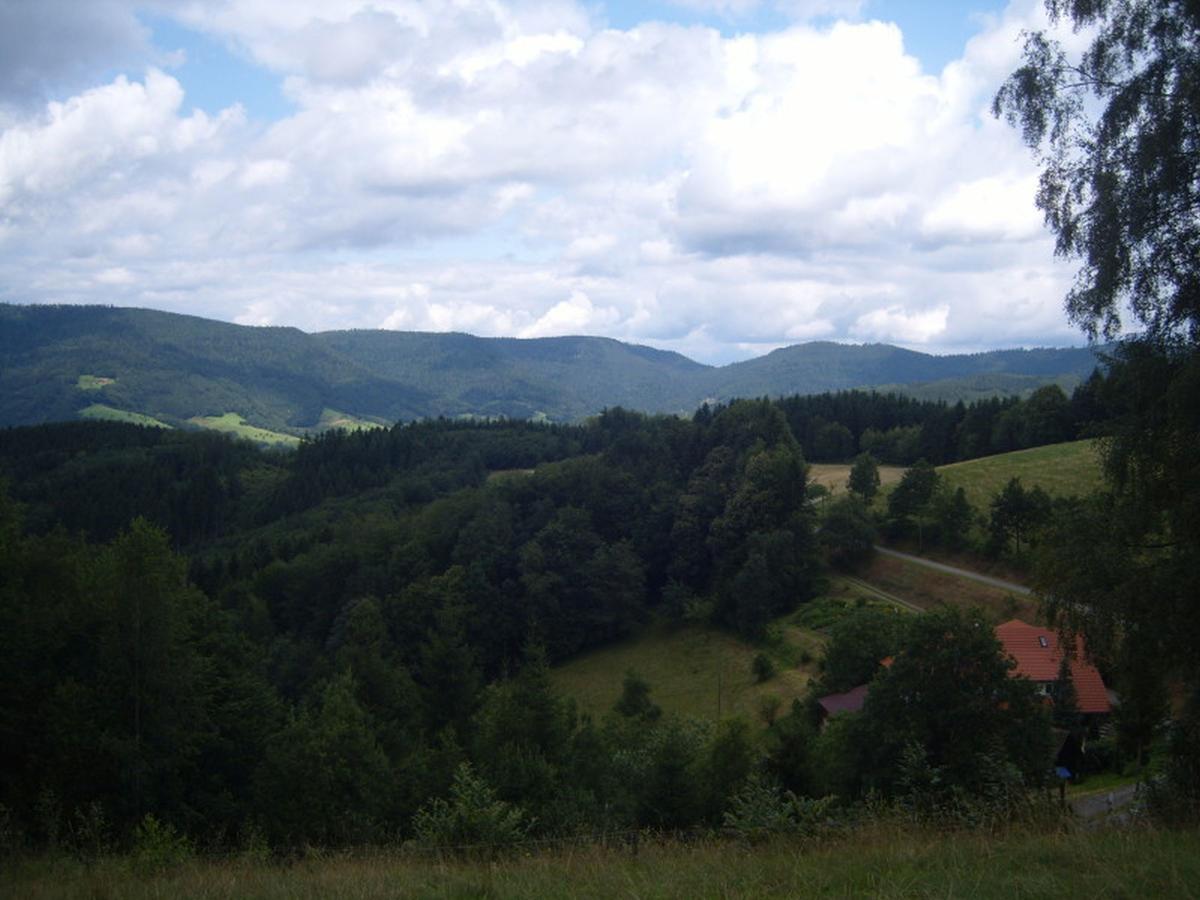 Ferienwohnung Langenberghof Oberharmersbach Exterior foto