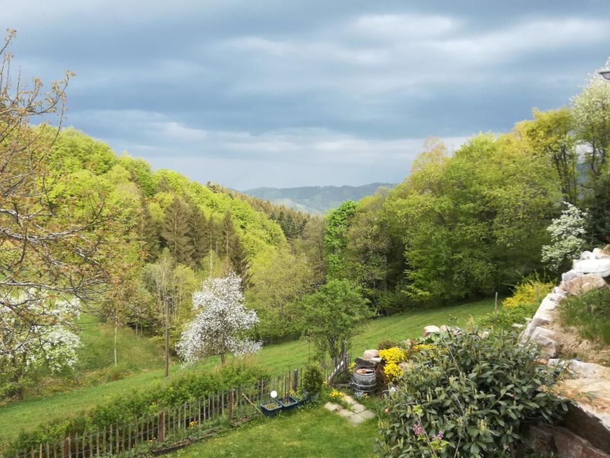 Ferienwohnung Langenberghof Oberharmersbach Exterior foto