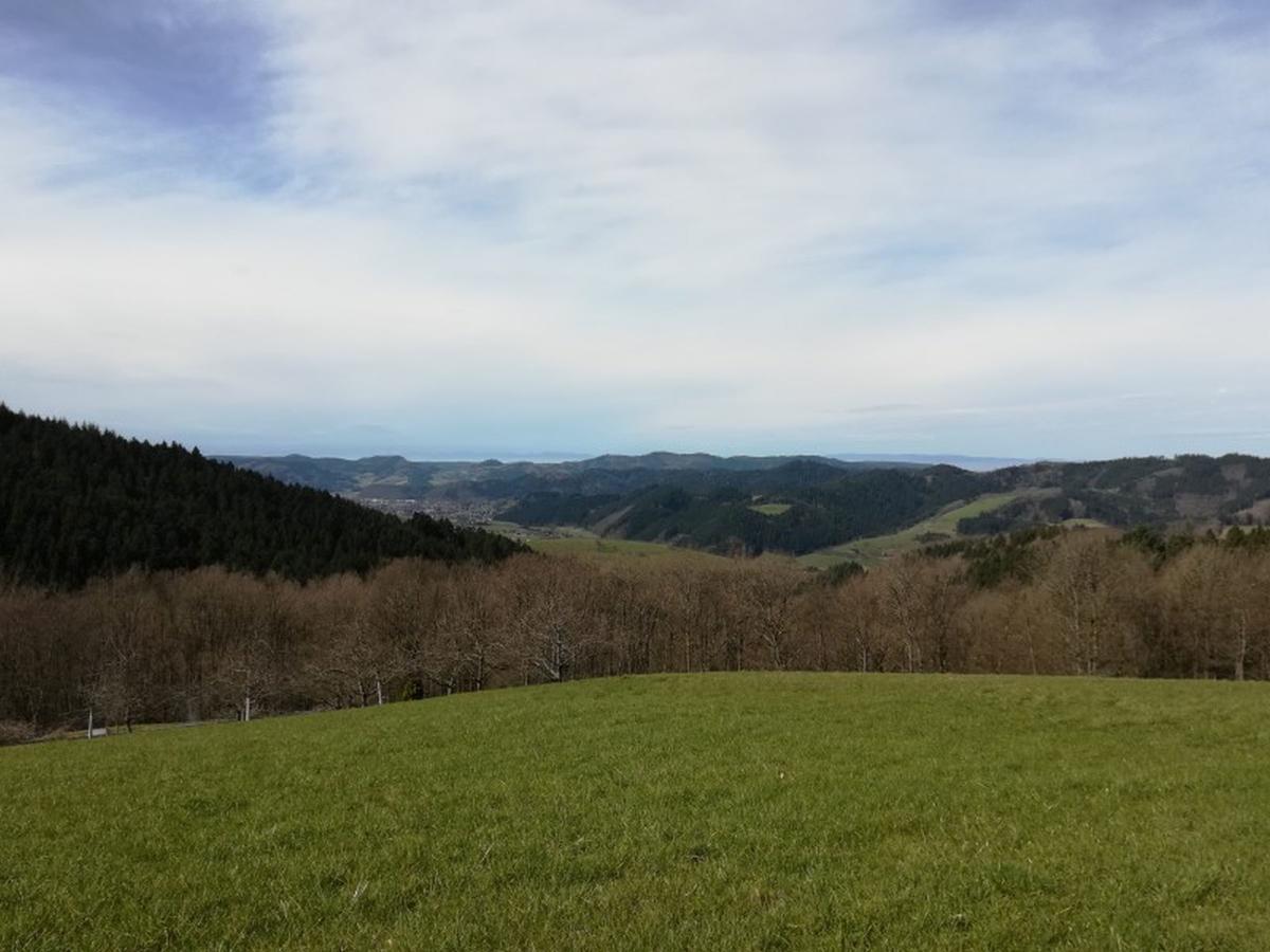 Ferienwohnung Langenberghof Oberharmersbach Exterior foto